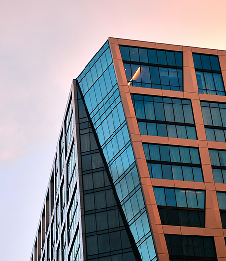 新聞動態(tài)與媒體